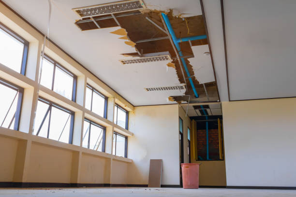 Best Flood damage cleanup  in Oakland, FL