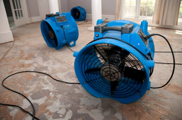 Best Sewage cleanup and water damage restoration  in Oakland, FL
