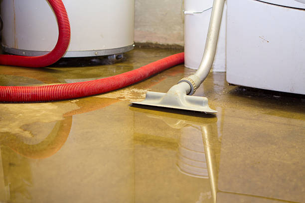 Carpet water damage restoration in Oakland, FL