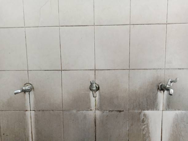 Best Water damage restoration near me  in Oakland, FL