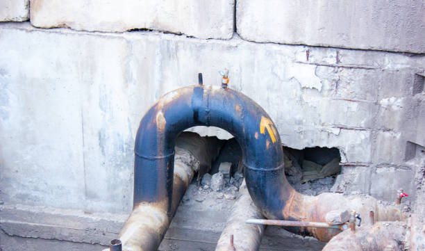Best Flood restoration services  in Oakland, FL